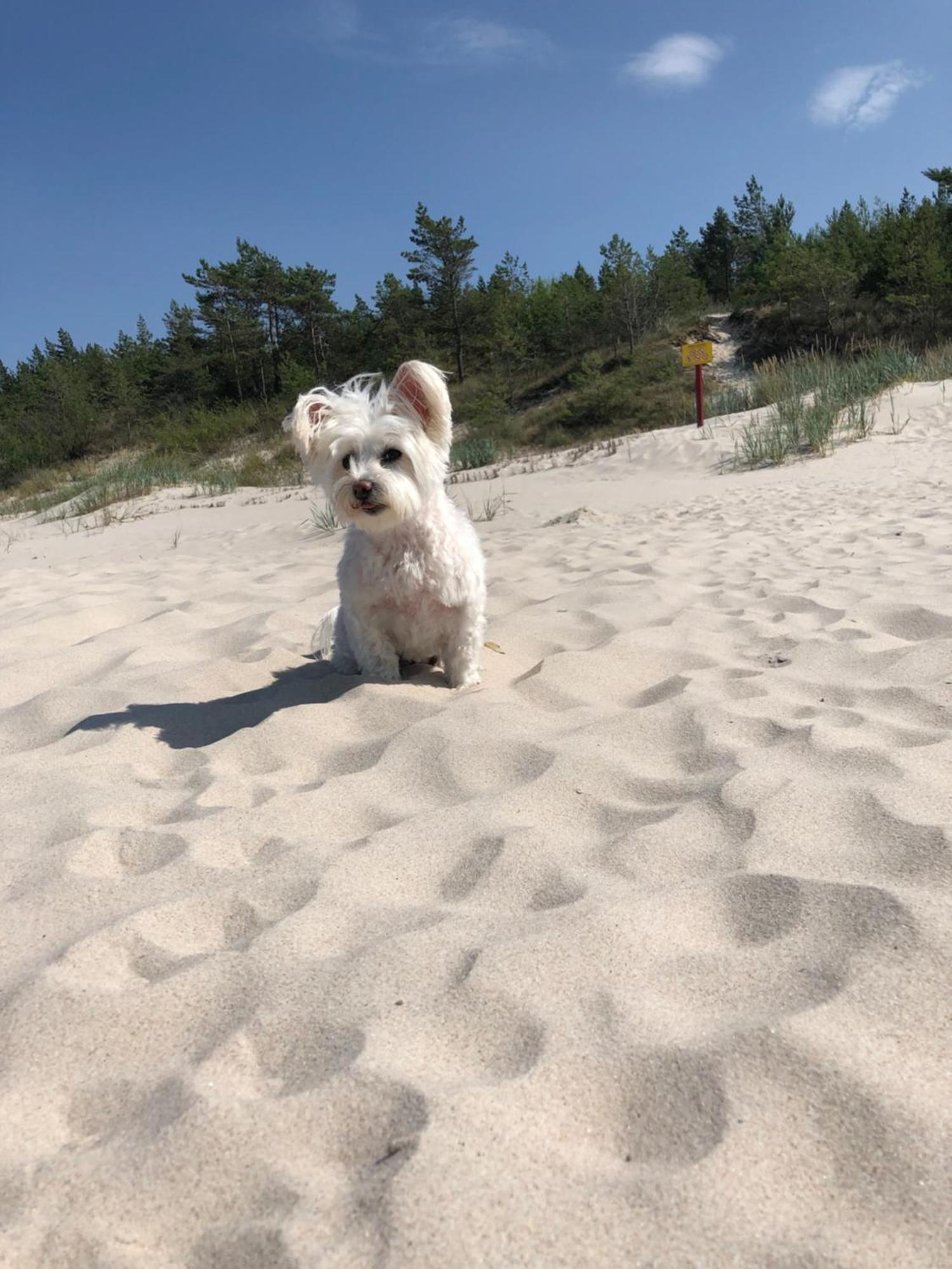 Baltic Holidays Gąski Exteriör bild